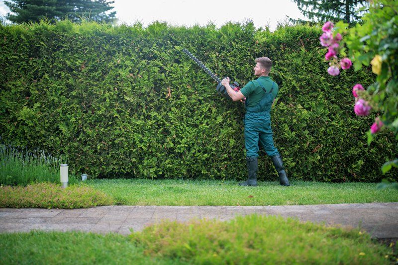 Gardener Trimming The Hedge Using Power Saw - Dayton, OH - Marlow Tree Company