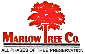 Marlow Tree Company