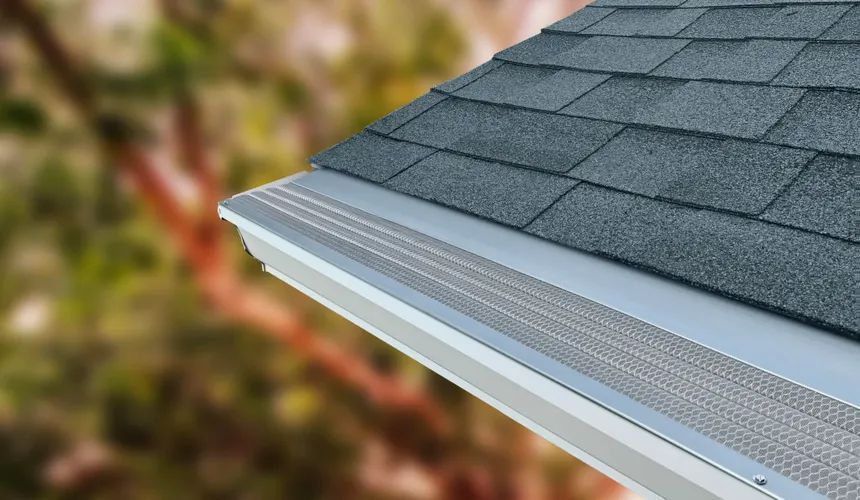 gutter guard 