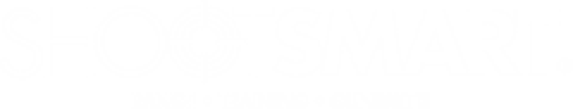 Shootsmart logo