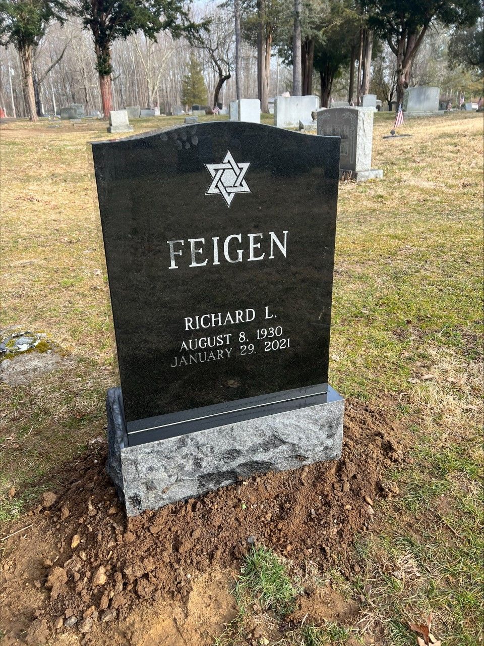 Feigen