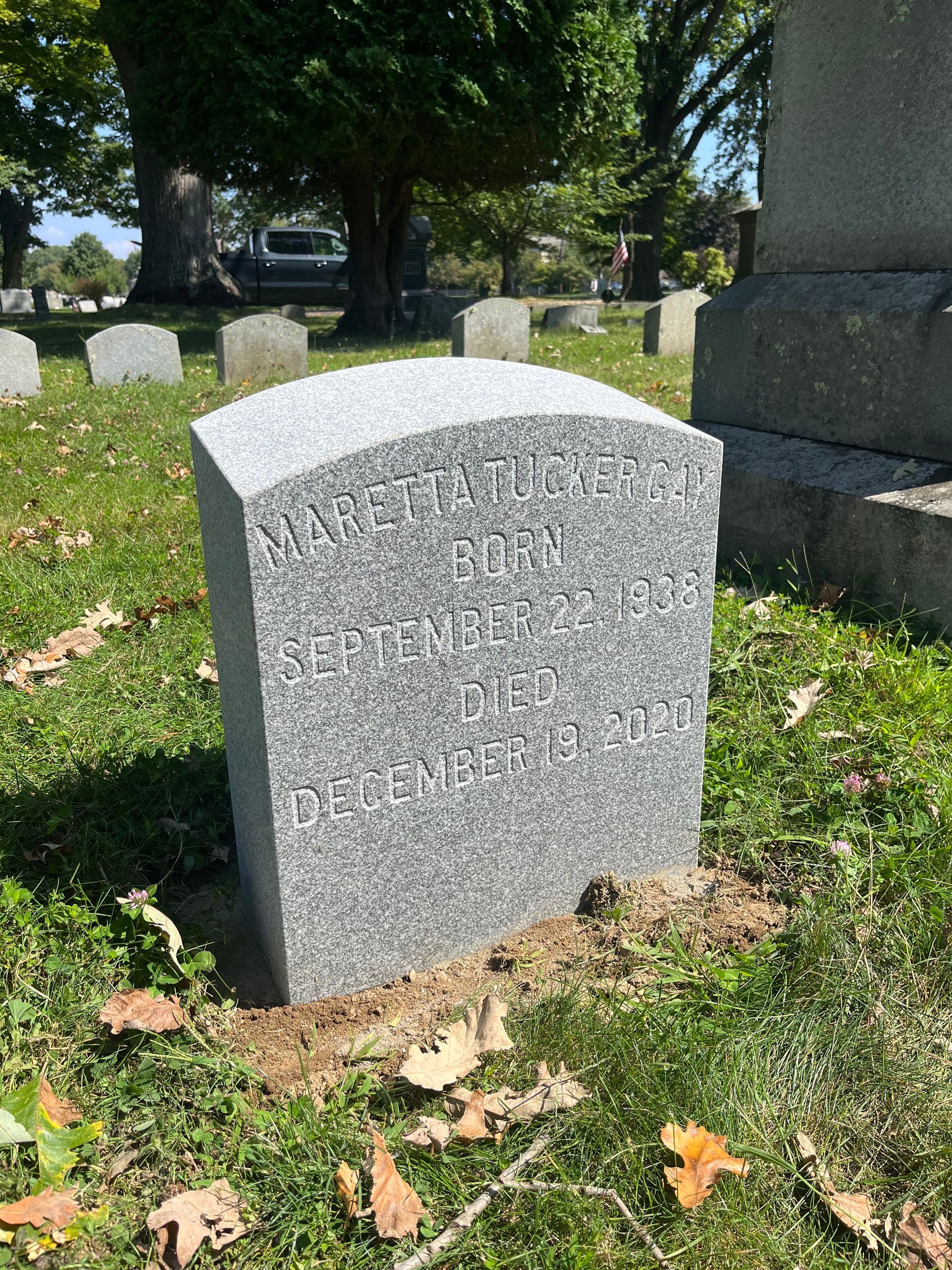 Gay Wood Shallow Blown Lettering Barre Grey Monolith Oval Top Sawed Sides and Top Polished Face