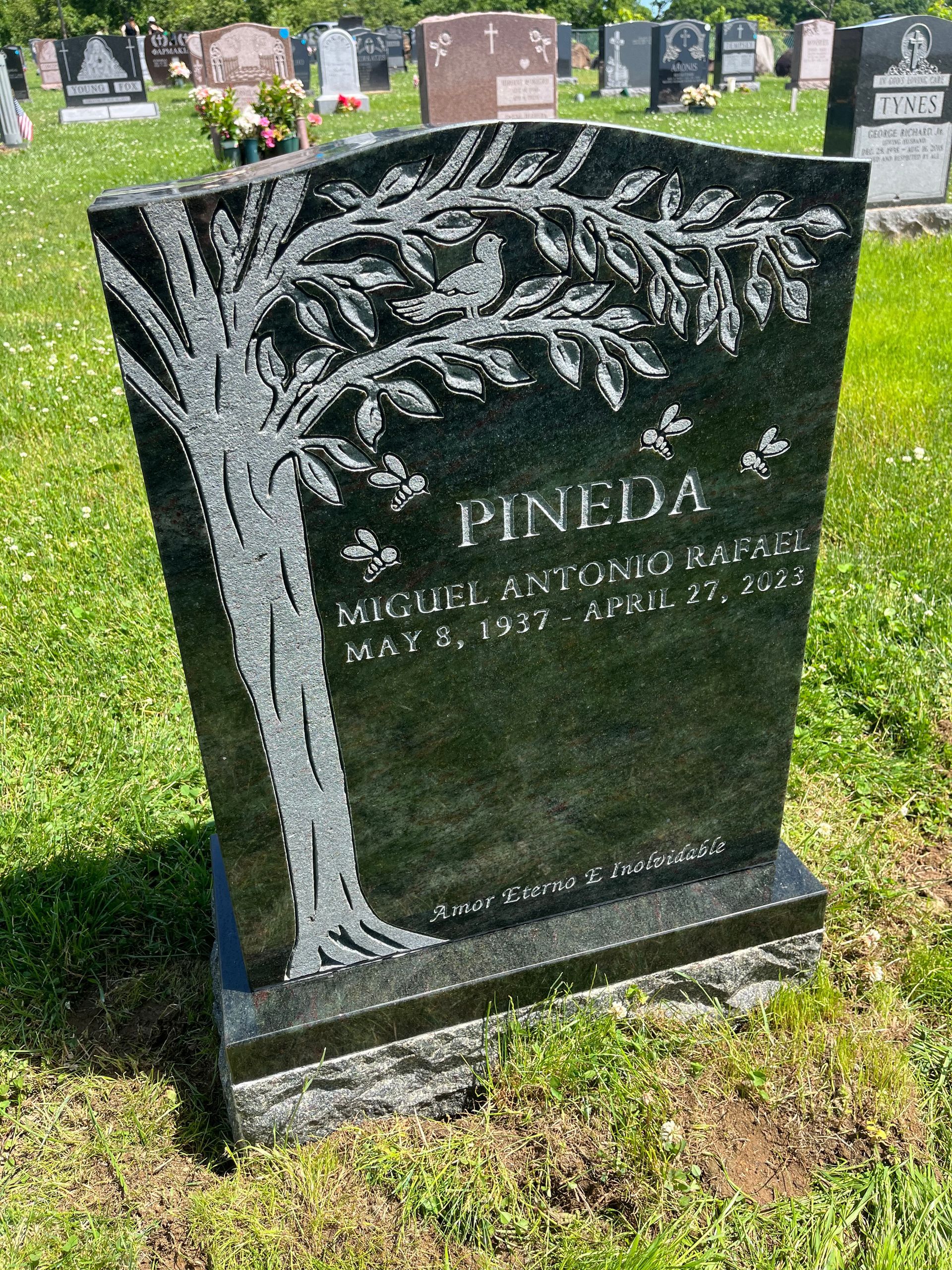 Pineda Tropical Green Granite Single Upright Shape Carved Designs Shallow Blown Lettering Skin Frosted Polished Margin