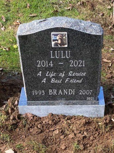 Lulu Pet Stone Impala Black Serp Top BRP Sides Polished 2 Skin Frosted Lettering Porcelain Photo