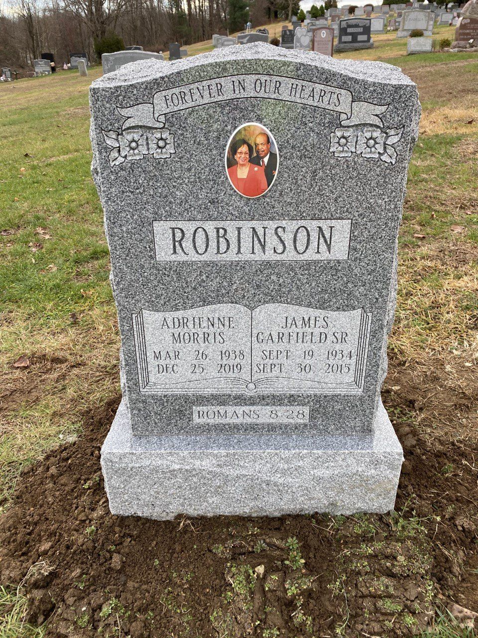 Robinson Barre Grey Ribbon Book Panel Porcelain Photo Shape Carved Florals Single Upright Polished 2 BRP Sides Serp Top