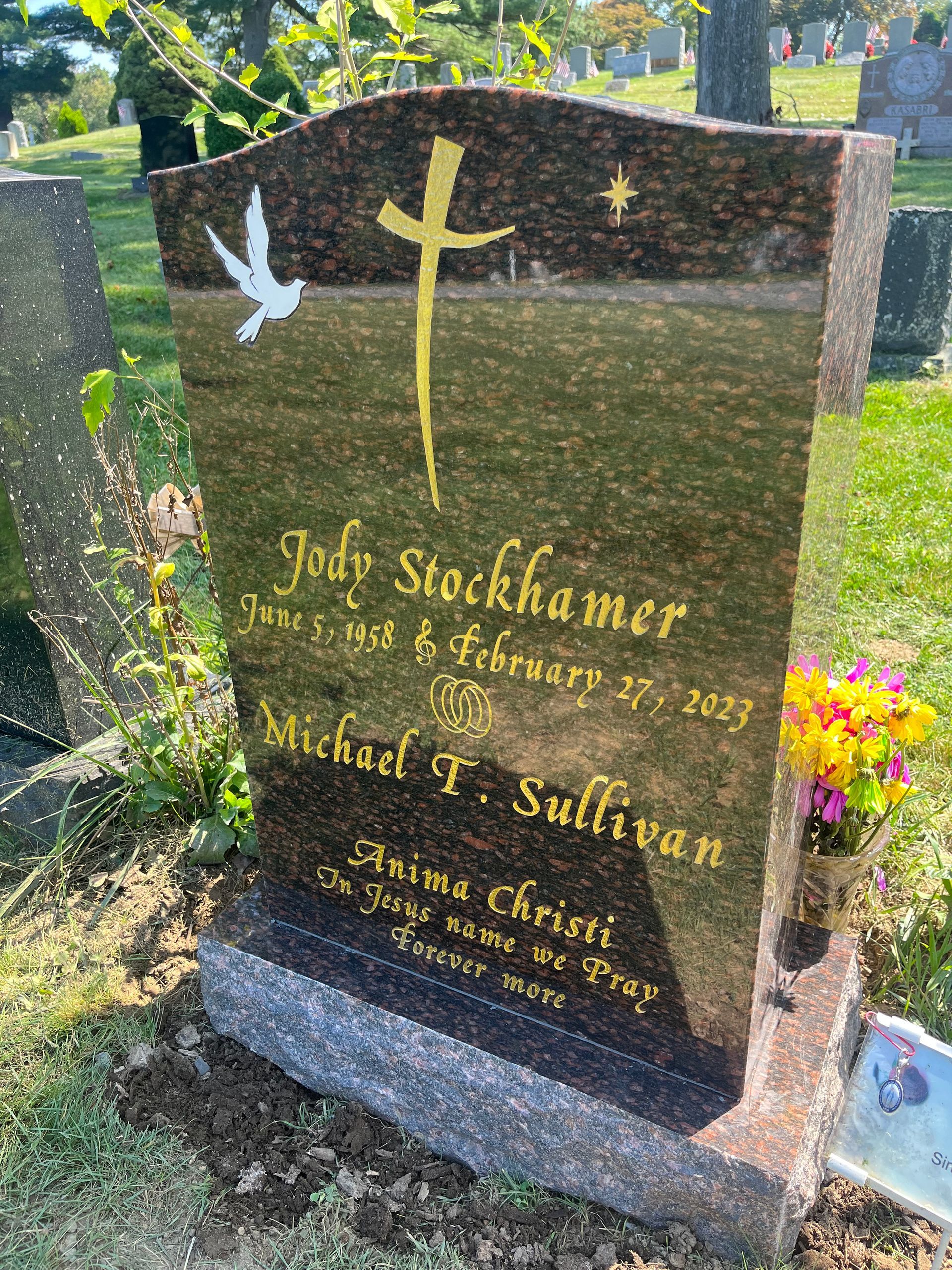 Stockhamer Gold Litho Polished 5 Cat's Eye Brown Single Upright Serp Top