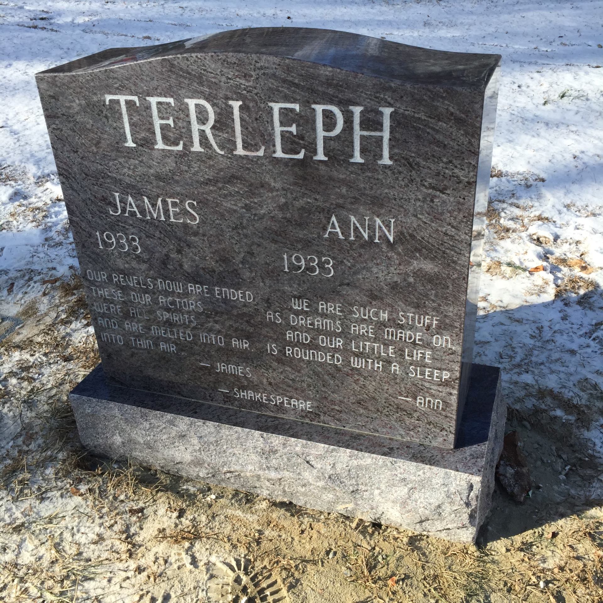 Terleph Paradiso Polished 5 Skin Frosted Lettering Serp Top 