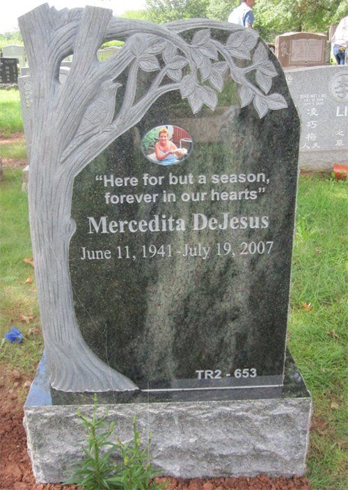 DeJesus Tropical Green Granite Skin Frosted Lettering BRP Sides Polished 2 Shape Carved Tree Design Porcelain Photo