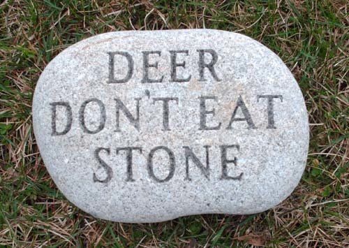 Garden Stone — Bedford Village, NY — CJ Stones