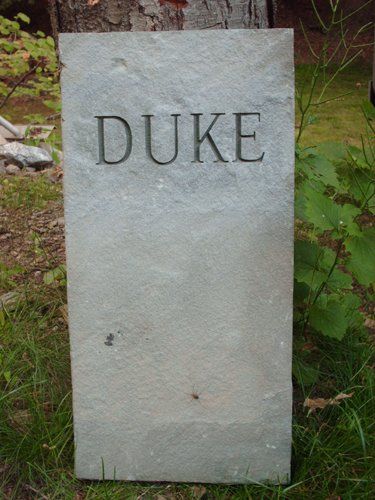 Duke Printed stone — Bedford Village, NY — CJ Stones