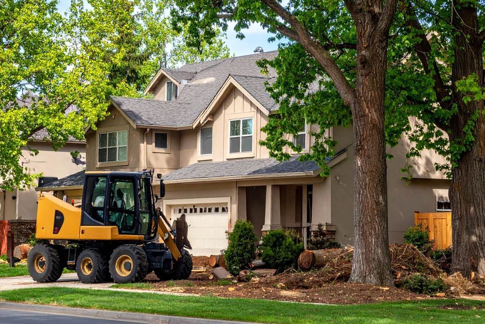 Professional Clearing of Trees in Boise, Idaho