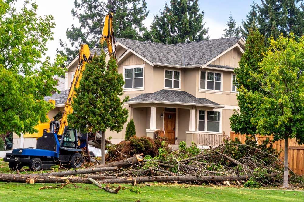 Trusted and reliable emergency clearance service provider for Trees in Boise, Idaho