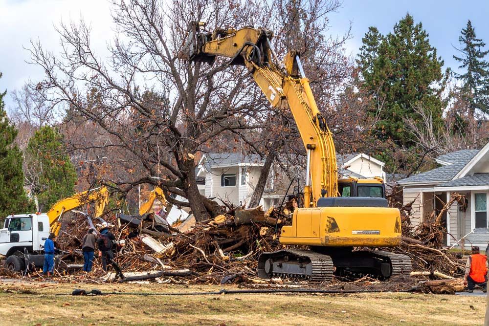 Tree Debris Cleanup Services in Boise, Idaho
