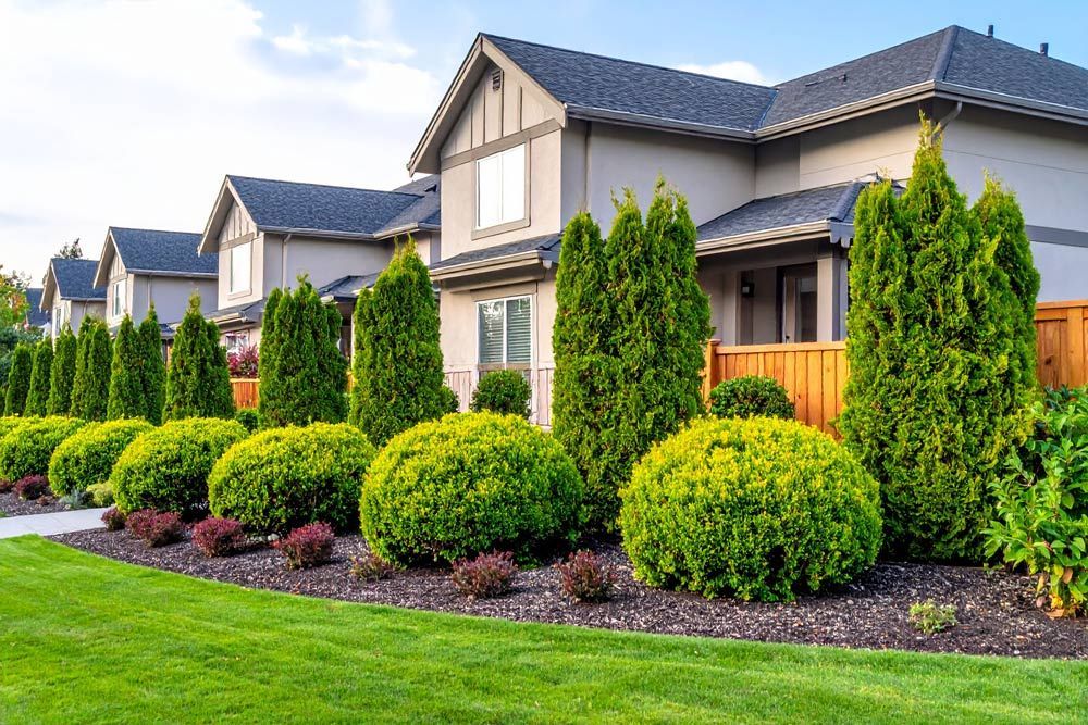 Well-maintained shrubs on house property in Boise, Idaho