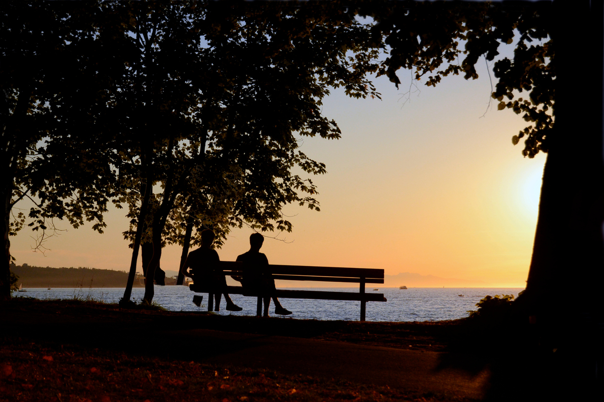 Silhouetted figures sit on a bench, overlooking a calm body of water at sunset. Trees frame the scene with a warm orange sky.