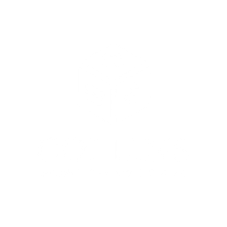 A white background with a few lines on it