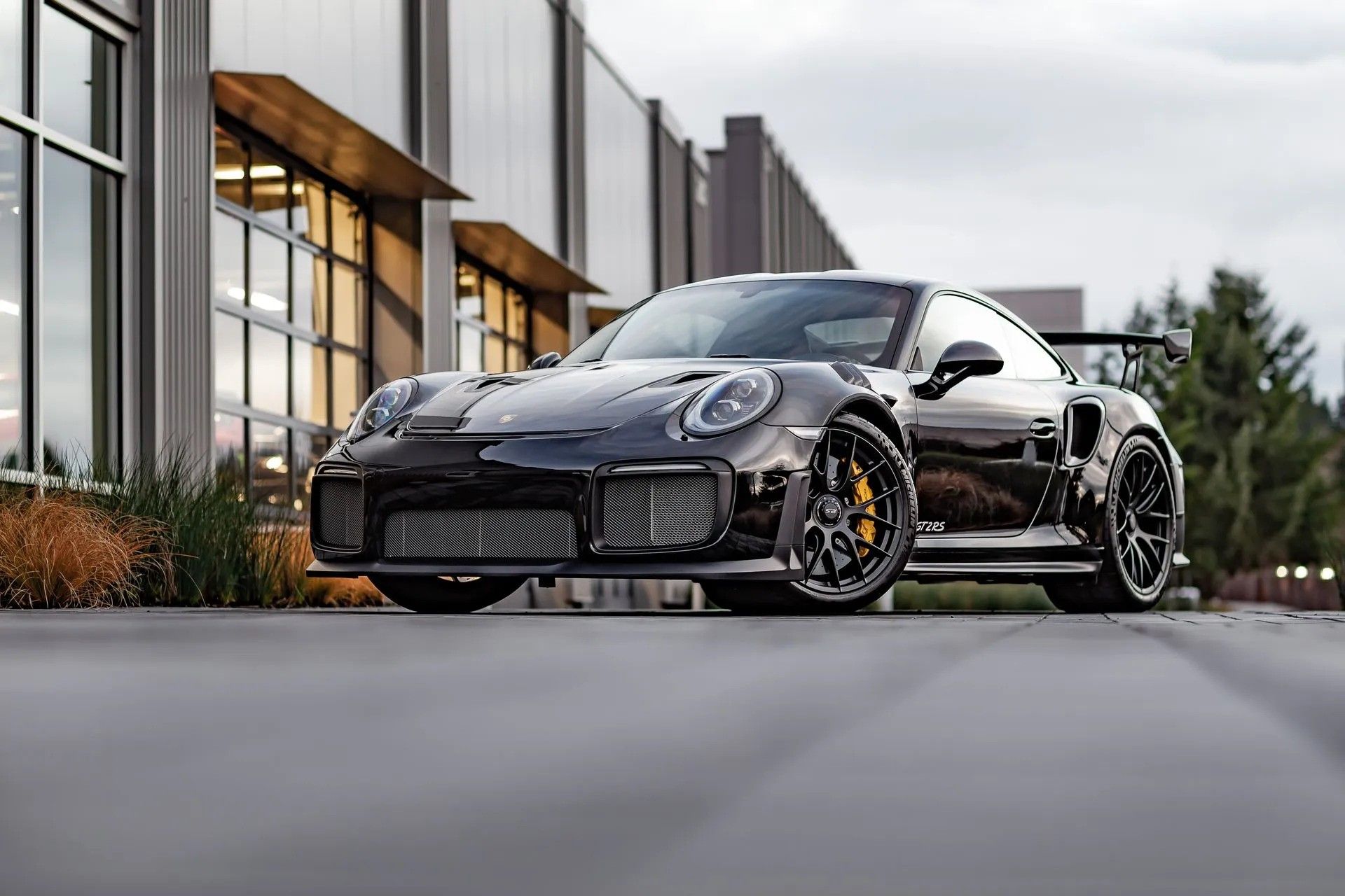 Paint Protection Film Services