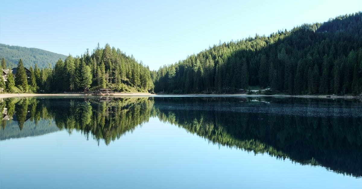 Ein See mit Bäumen am Ufer und Bergen im Hintergrund