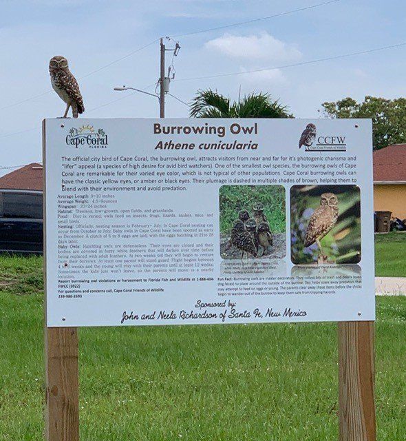 Sign about Burrowing Owls with an owl perched on top, in Cape Coral, Florida.