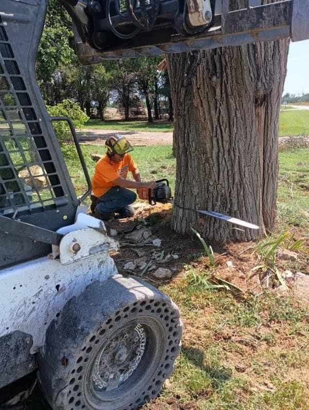 Tree Removal — Colwich, KS — A & M Tree Service & Stump Grinding