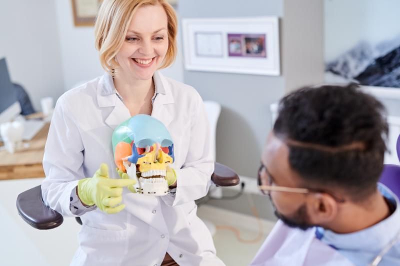 A dentist is holding a model of a skull in front of a patient.