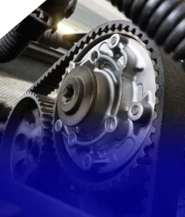 Up close to timing belt for service | Eurocharged