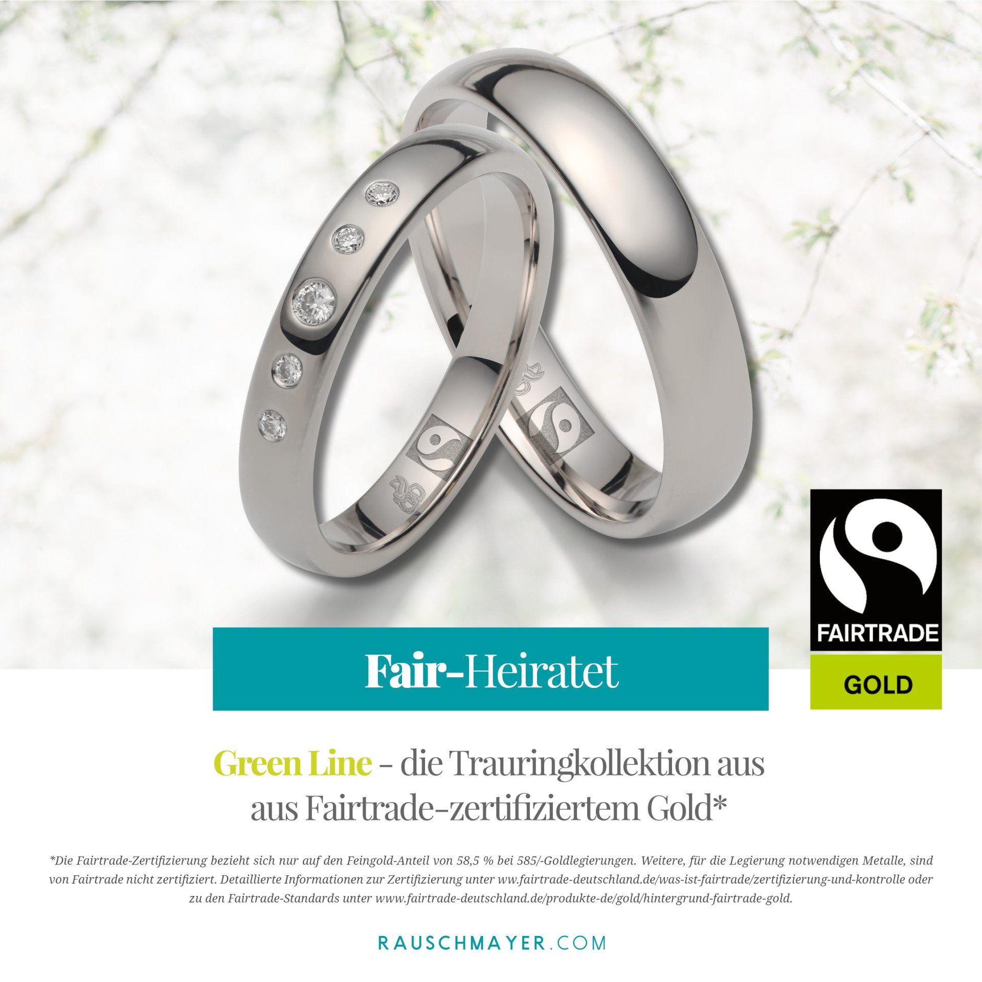 Ein Paar Eheringe aus Fairtrade-Gold