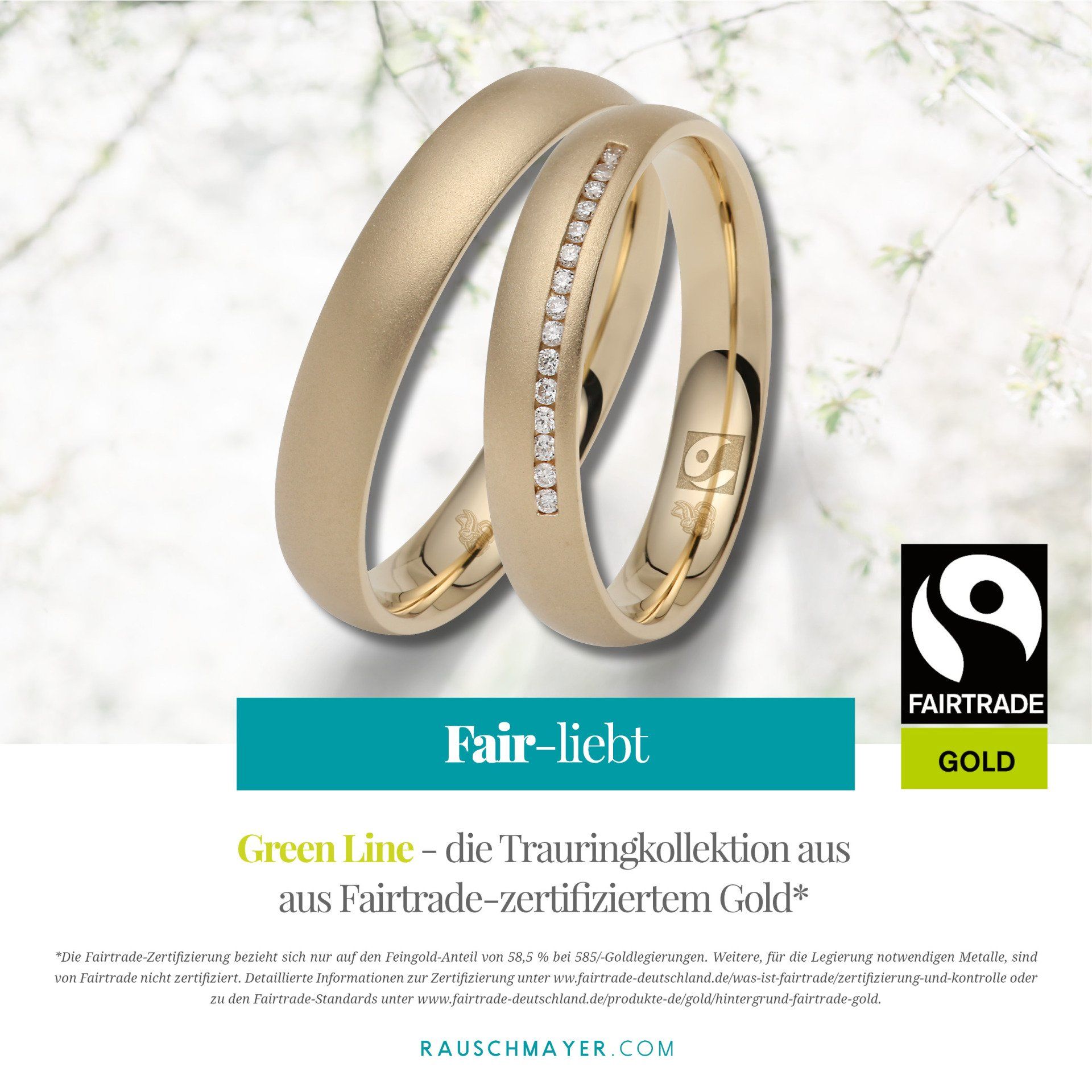 Ein Paar Eheringe aus Fairtrade-Gold