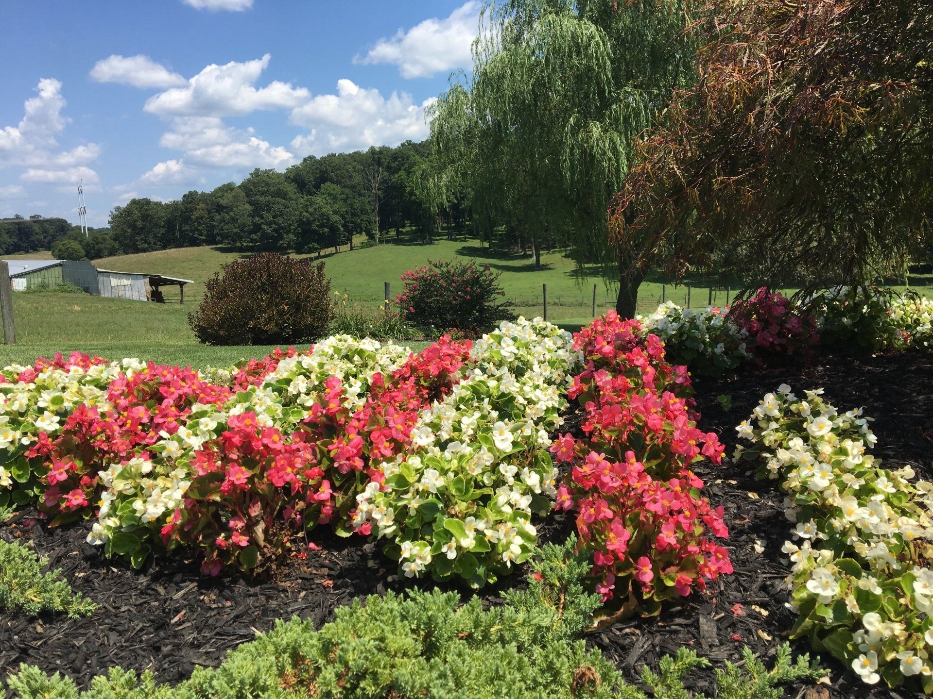 Commercial Landscaping Installation & Maintenance | Brighton Dam Landscaping | Montgomery County MD