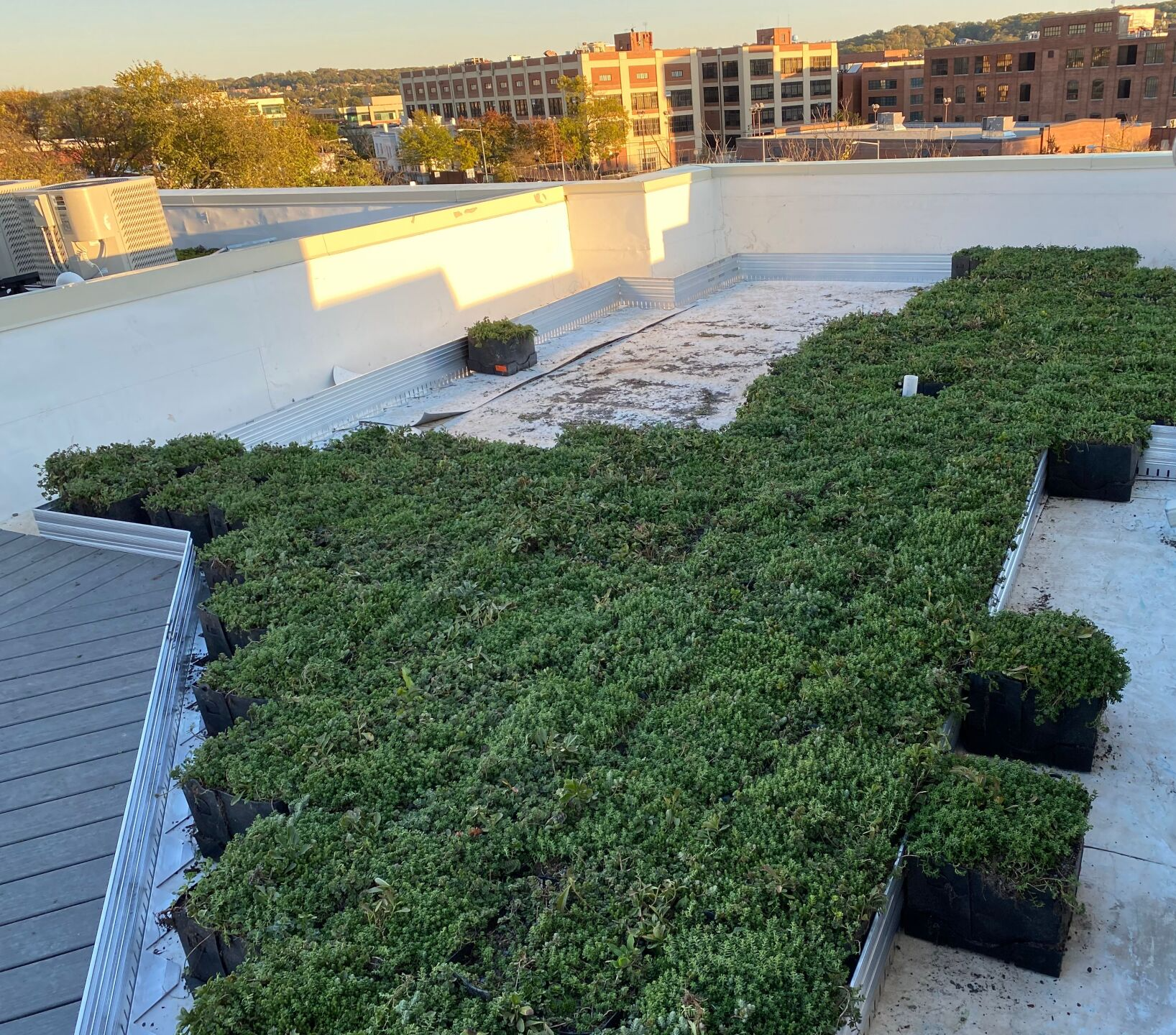 Green Roof Landscaping | Brighton Dam Landscaping | Washington DC