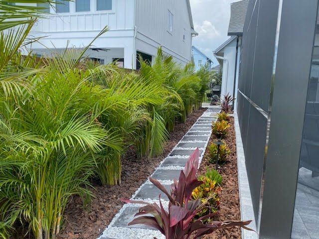 A walkway leading to a house surrounded by palm trees.