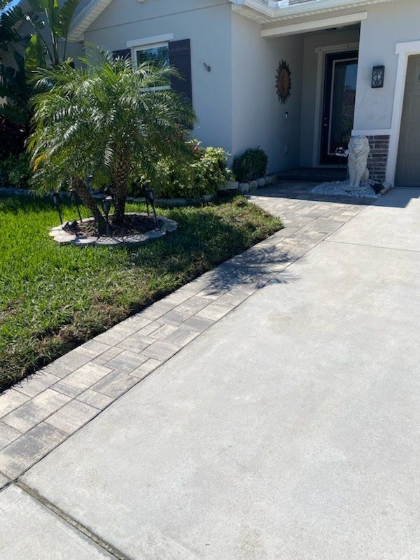 A white house with a palm tree in front of it