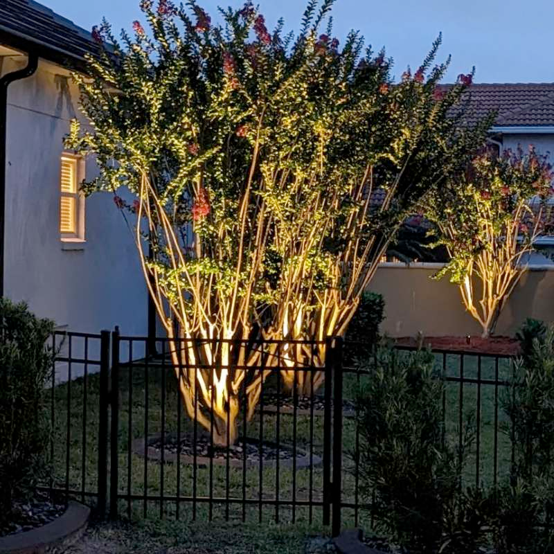 A tree is lit up in front of a house