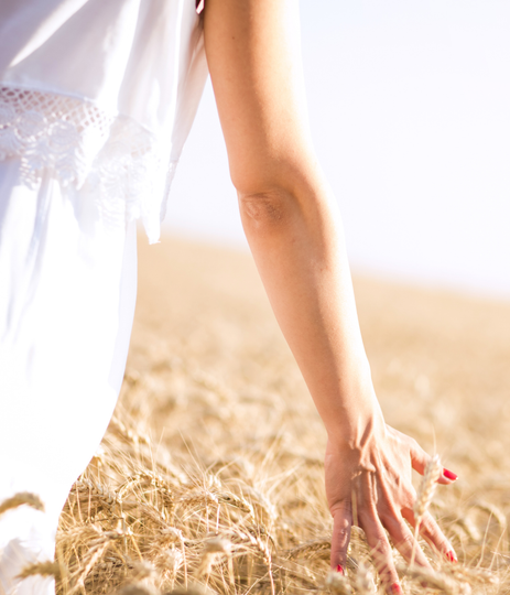Woman's hand touching wheat in a field, wearing white dress; golden sunlight.