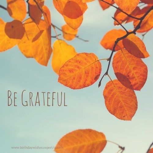 Orange fall leaves against a light blue sky with text 