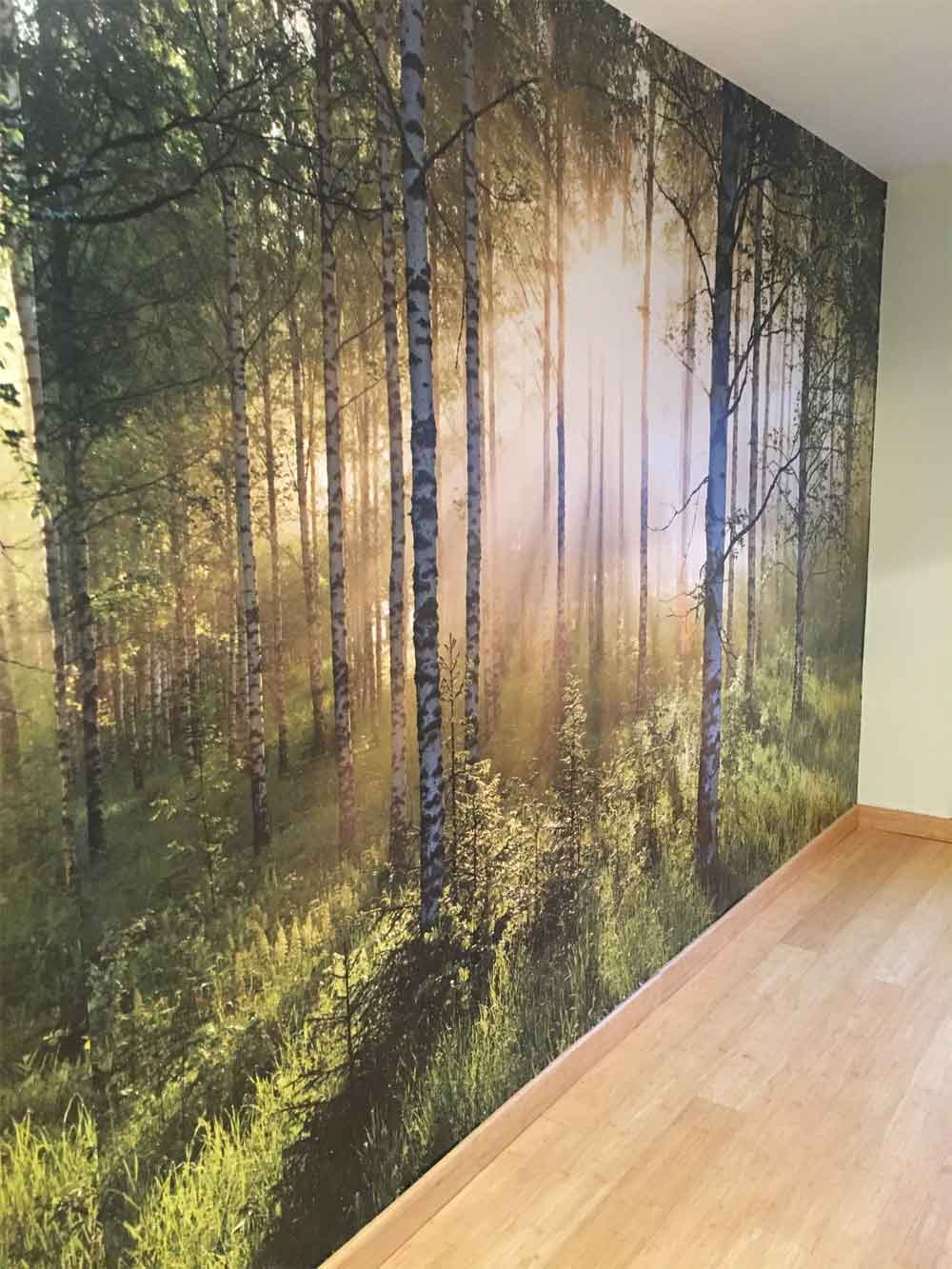 Painting and Decorating services