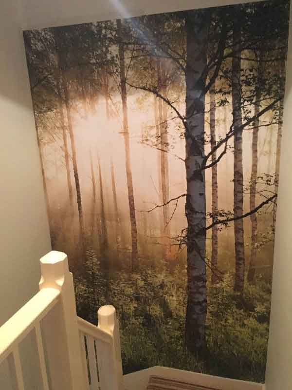 Painting and Decorating services