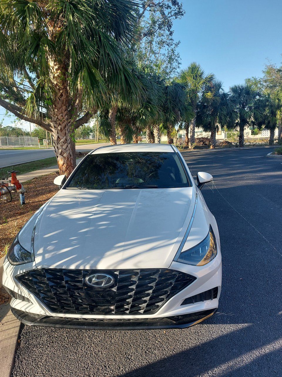 A white car is parked on the side of the road next to a tree.