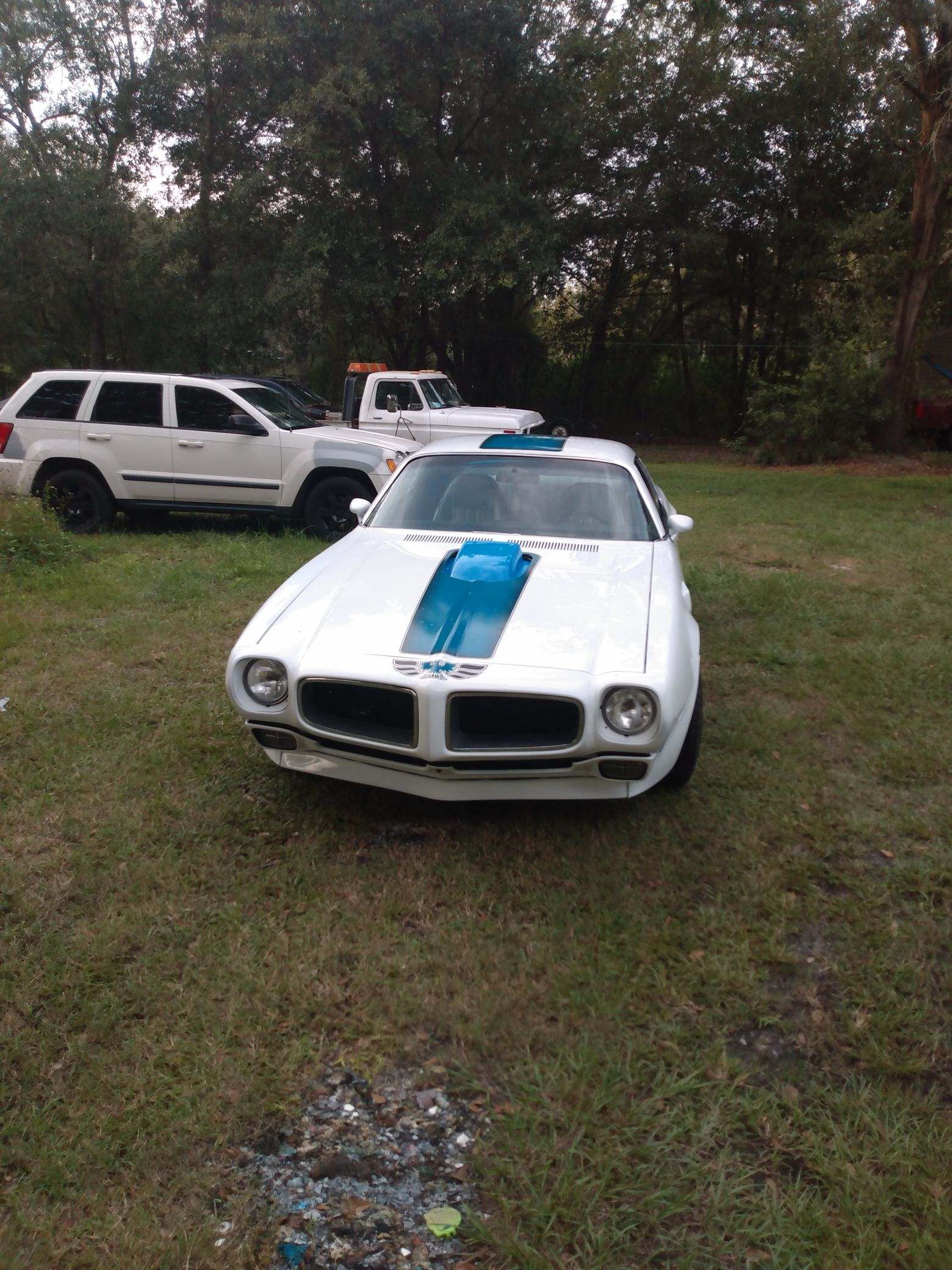 A white car with blue stripes is parked in a grassy field.