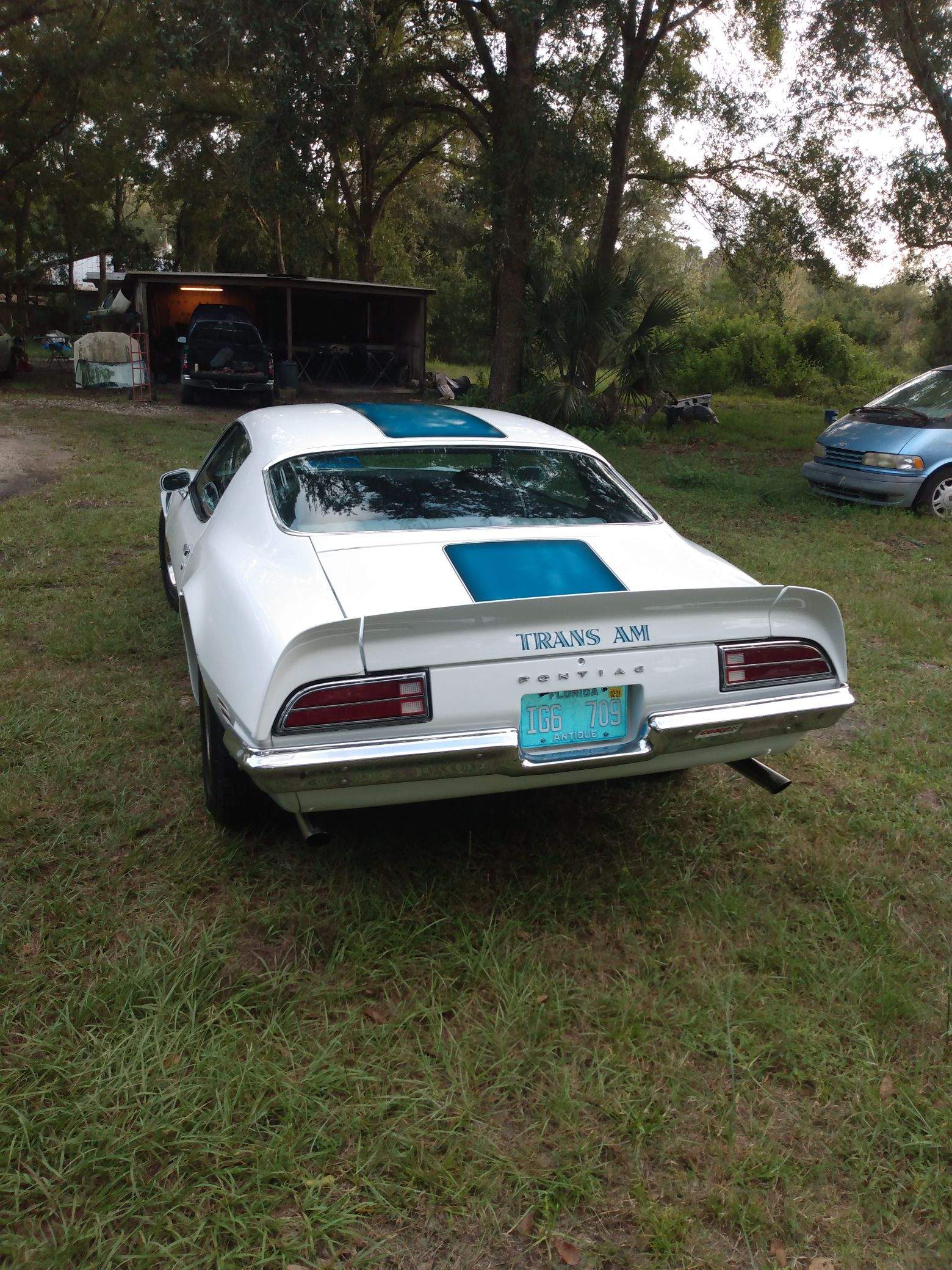 A white car with blue stripes is parked in a grassy field.
