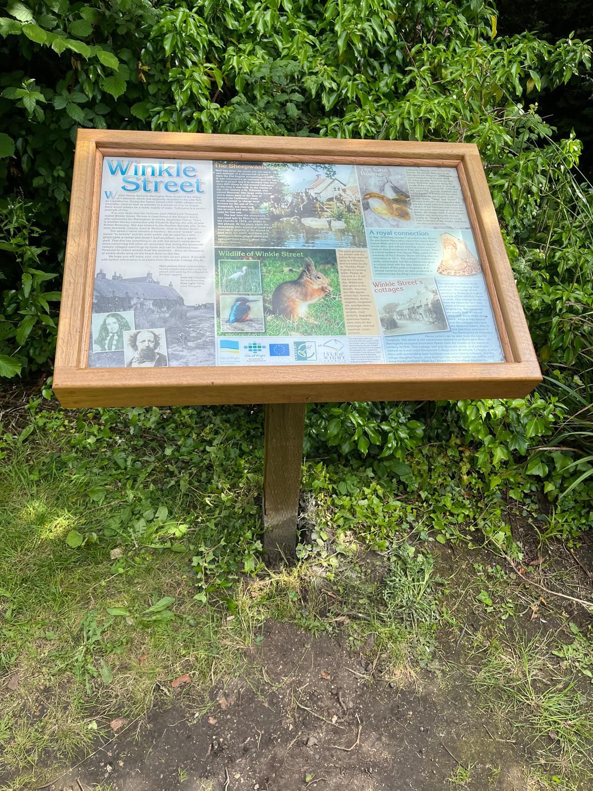 The new oak information sign at Winkle Street, Isle of Wight