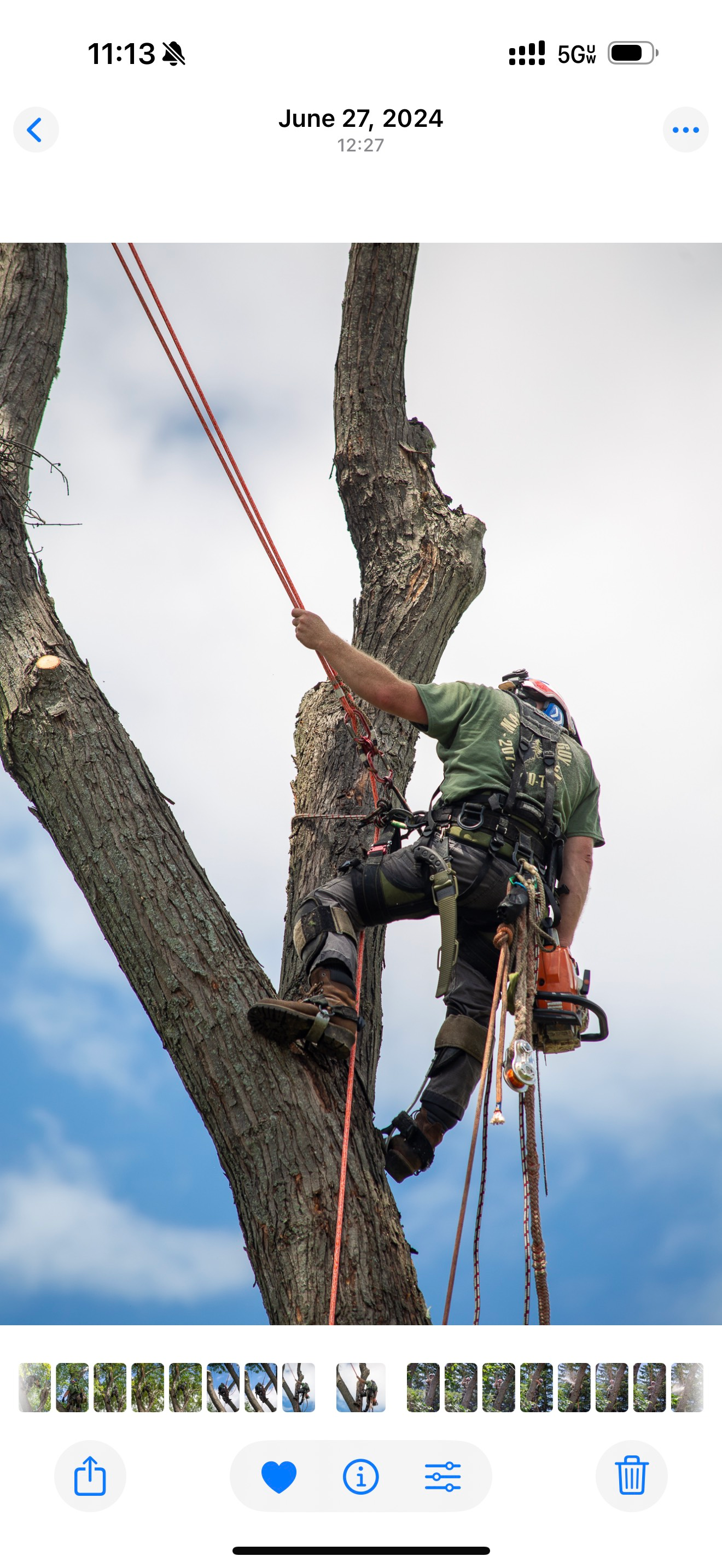 A tree worker climbs a tree with a chainsaw, wearing a harness and safety gear, against a cloudy sky.