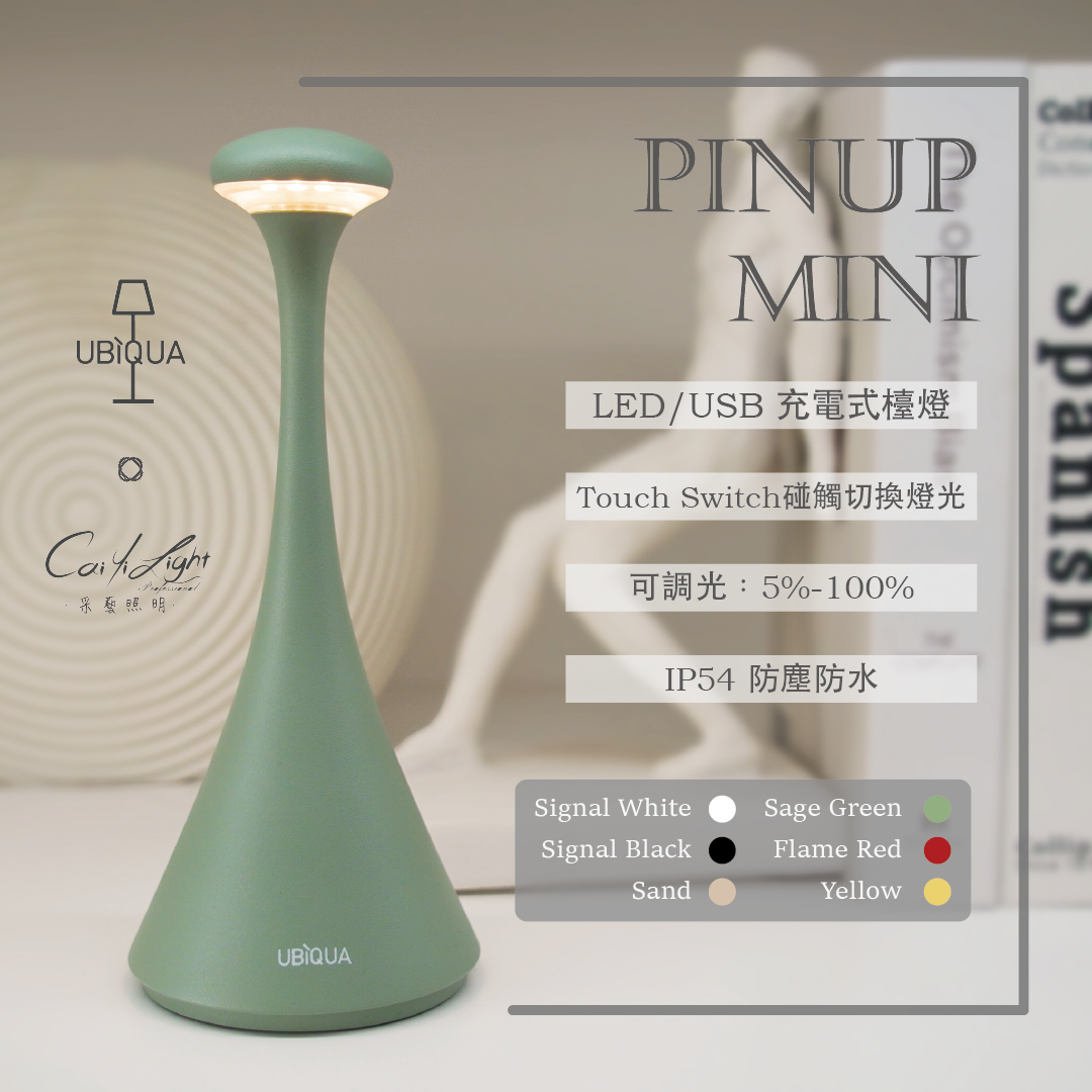 https://irp.cdn-website.com/f7e9cfa2/dms3rep/multi/PINUP+MINI+GROUND001.png