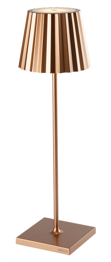 https://irp.cdn-website.com/f7e9cfa2/dms3rep/multi/PLISSE-189243.png