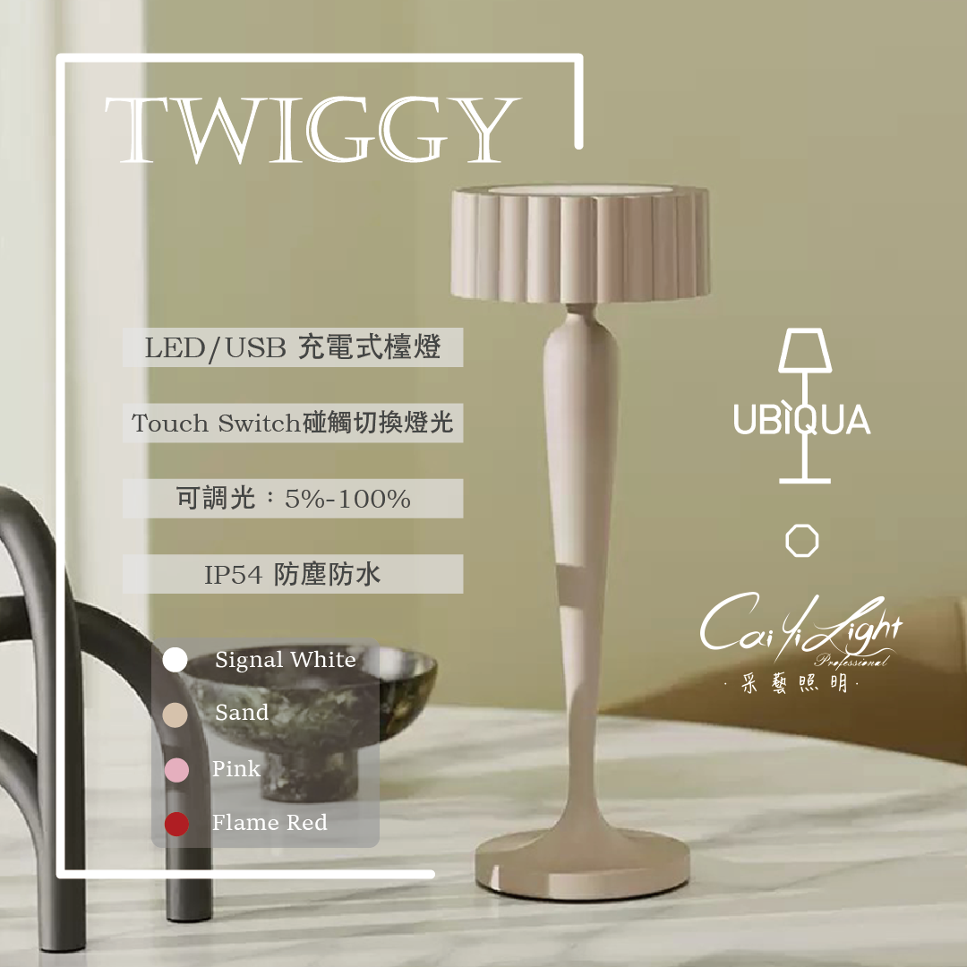 https://irp.cdn-website.com/f7e9cfa2/dms3rep/multi/TWIGGY+GROUND001.png