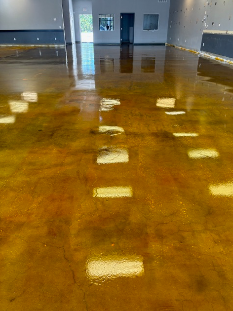 A large room with a shiny concrete floor and a lot of windows.