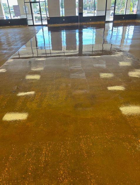 A large room with a shiny concrete floor and a lot of windows.