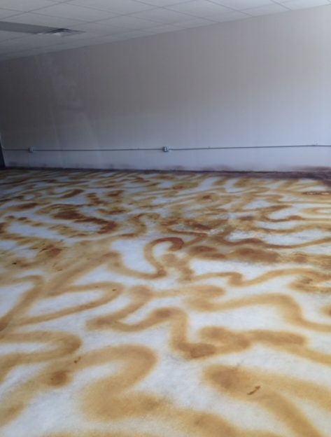 An empty room with a brown and white pattern on the floor