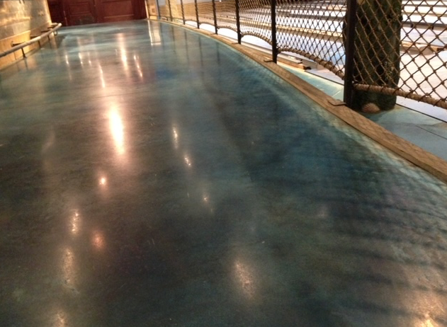 A shiny blue concrete floor with a railing in the background.