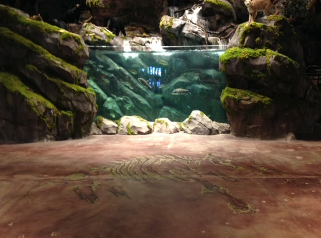 A large aquarium filled with fish surrounded by rocks and moss.